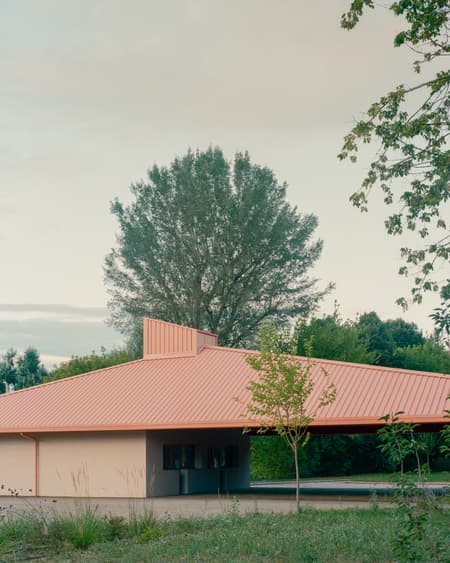 Under the Pink Roof